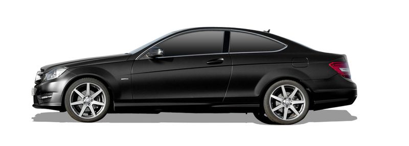 MERCEDES-BENZ C-CLASS купе (C204) C 250 CDI (204.303)