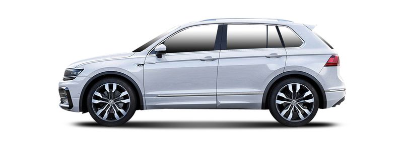 VW TIGUAN (AD1, AX1) 2.0 TSI 4motion