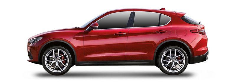 STELVIO (949_)