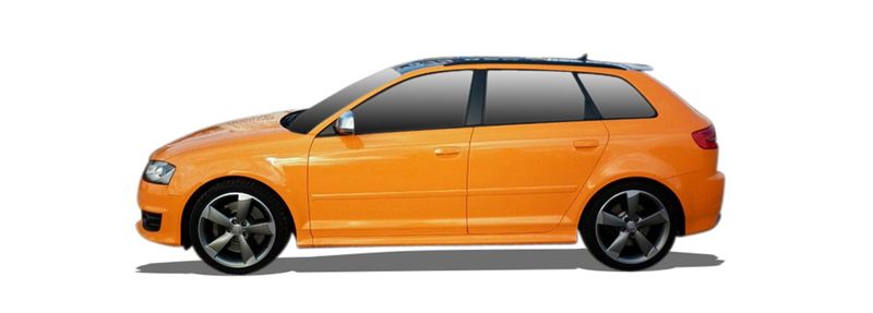 AUDI A3 (8P1) 2.0 FSI