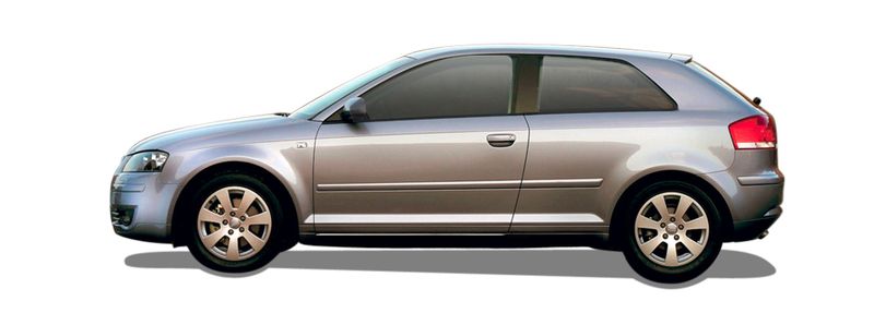AUDI A3 (8P1) 3.2 V6 quattro