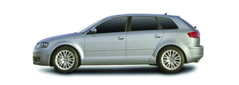 AUDI A3 Sportback (8PA) 1.6