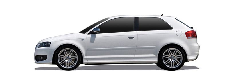 AUDI A3 (8P1) 1.8 TFSI