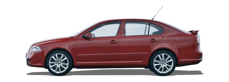 SKODA OCTAVIA II (1Z3) 2.0 TDI RS