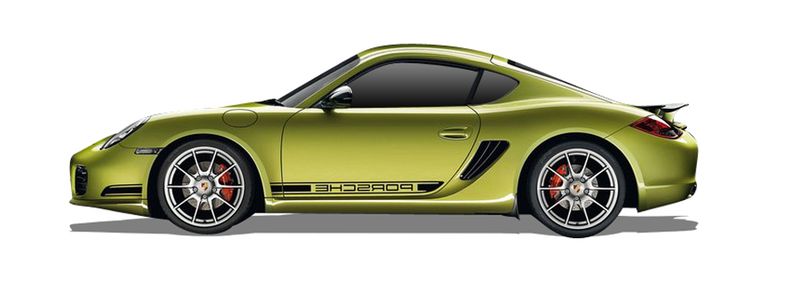 CAYMAN (987)