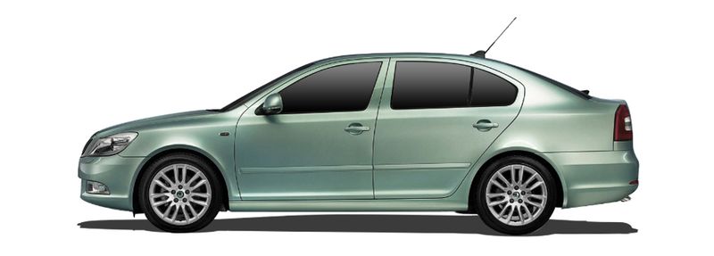 SKODA OCTAVIA II (1Z3) 1.6 MultiFuel