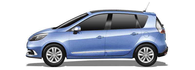 RENAULT SCÉNIC III (JZ0/1_) 2.0 16V (JZ0G, JZ0P, JZ1E, JZ1P)