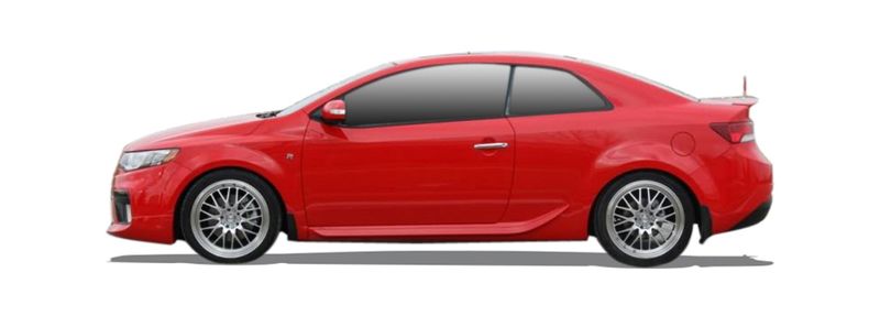 CERATO KOUP II (TD)
