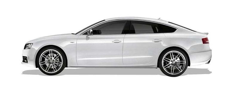 A5 Sportback (8TA)