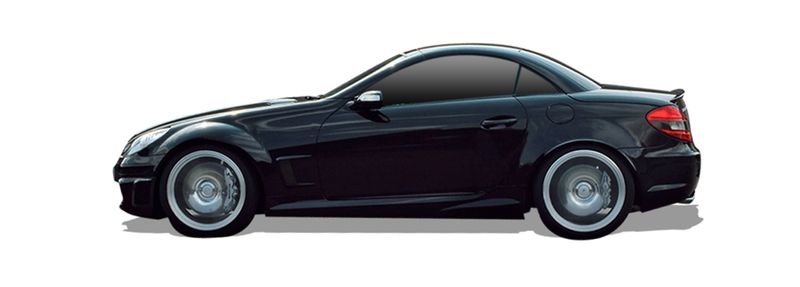 MERCEDES-BENZ SLK (R172) 200 (172.448)